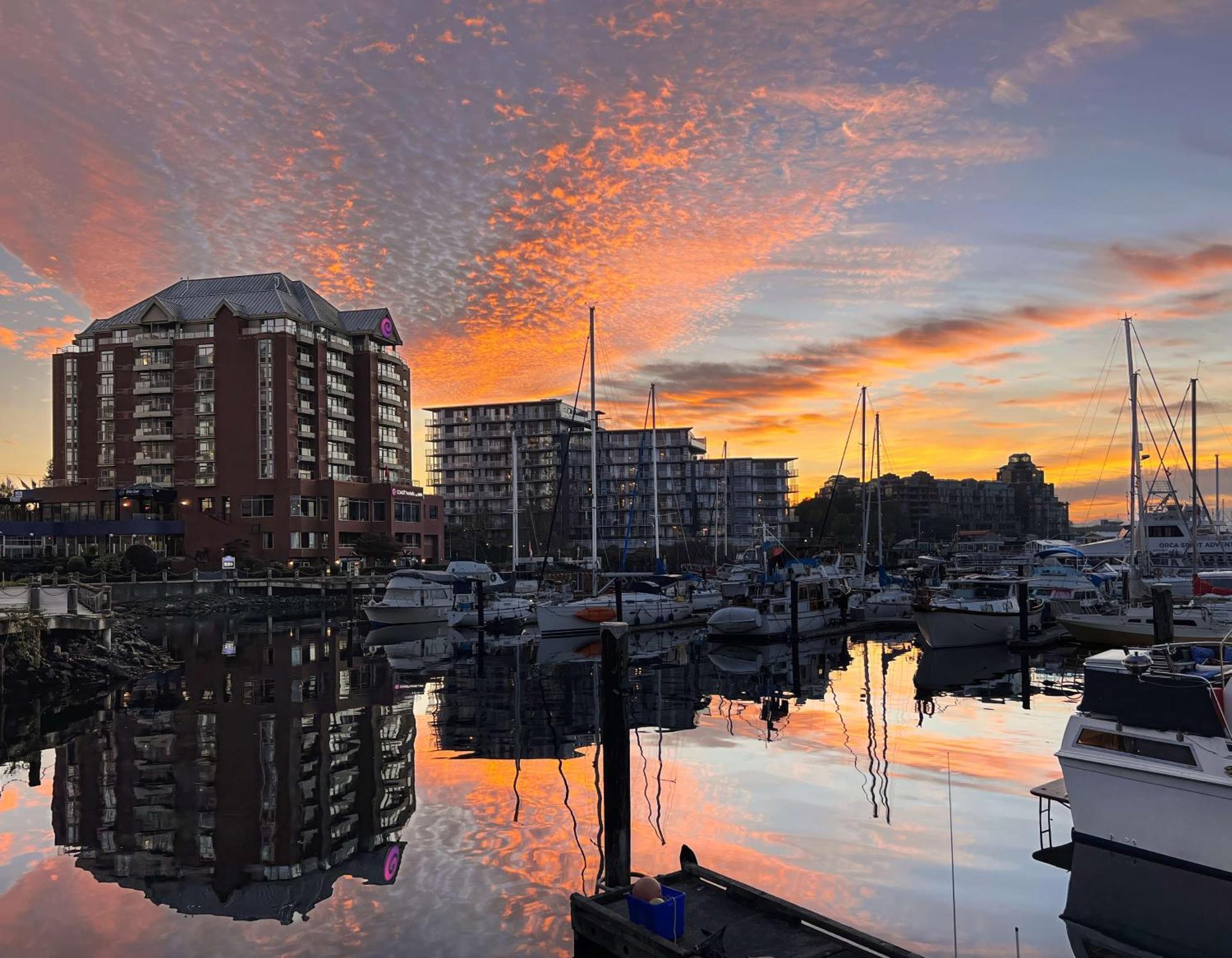 Coast Victoria Hotel & Marina By Apa Extérieur photo
